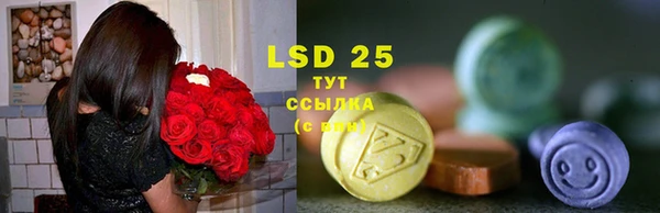 PSILOCYBIN Осинники