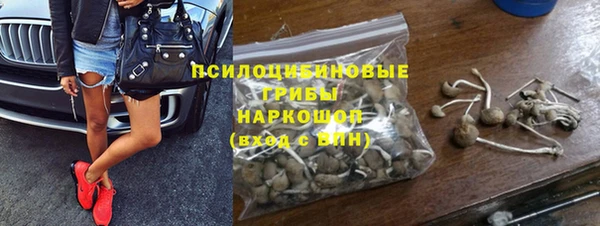 PSILOCYBIN Осинники
